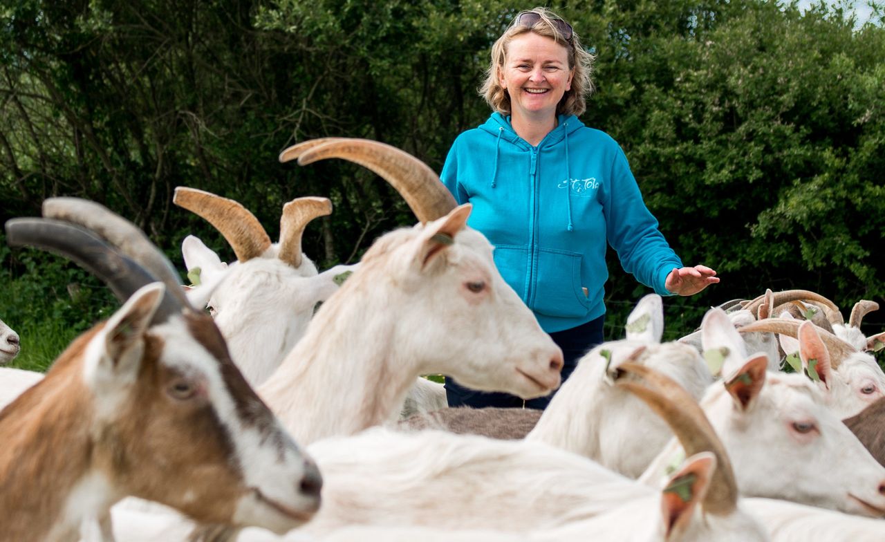 Burren producers' initiative doesn't put eggs all in one basket