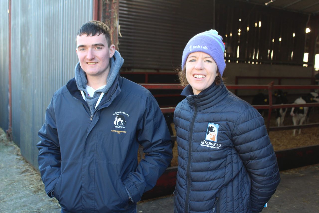 Dairy breeding landscape in NI is fast-changing