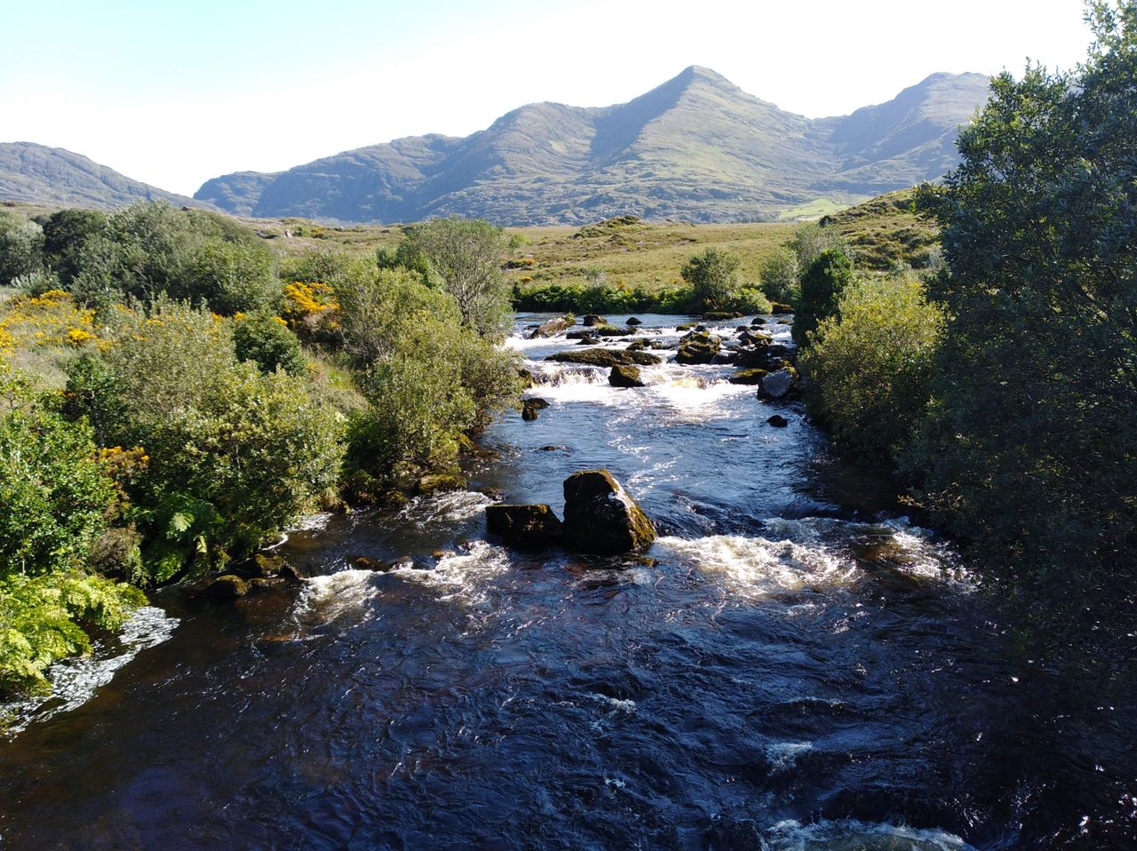 Tributes paid to farmers involved in KerryLIFE project