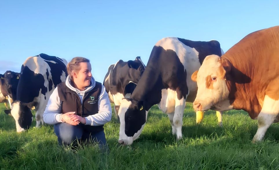 Strict rules 'pushing young people away' from farming - Wexford Rose