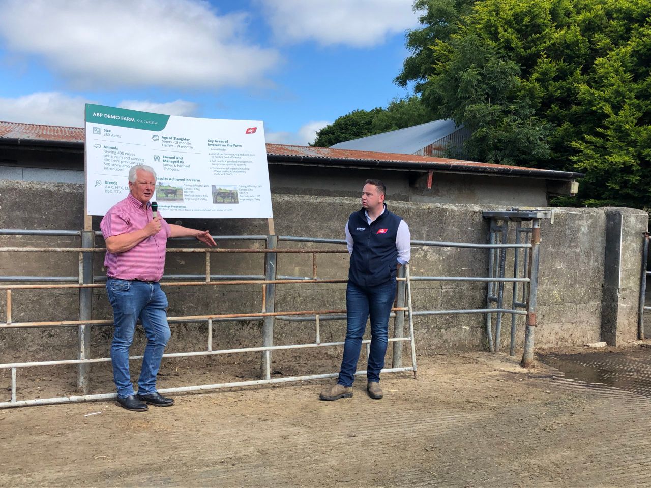 'Synergy needed between processors and farmers' - ABP livestock manager