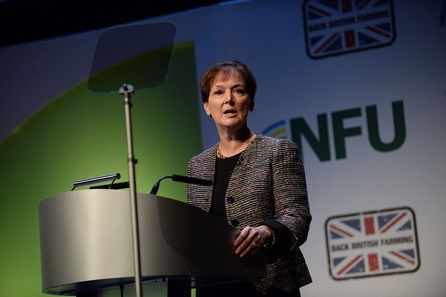 Farmers urged to adapt to consumer needs