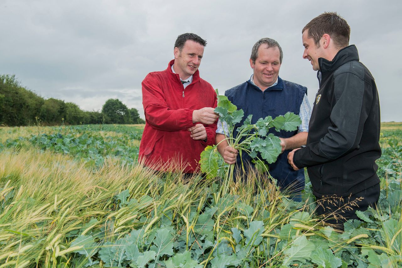Tipperary co-op prepares for winter forage storage