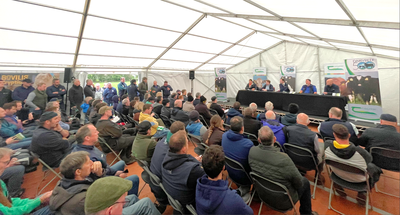 Forbes details beef trade outlook at Navan farm walk