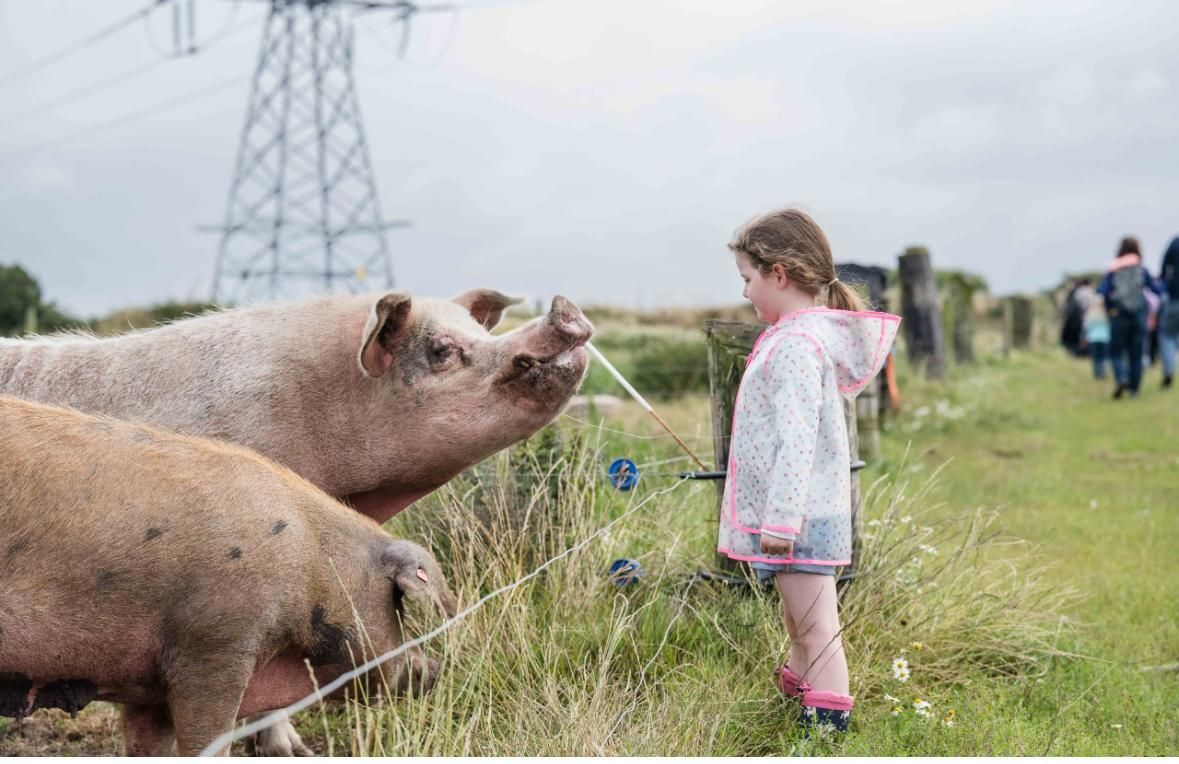 Going from dairy to diversity on Cork's Glenbrook Farm