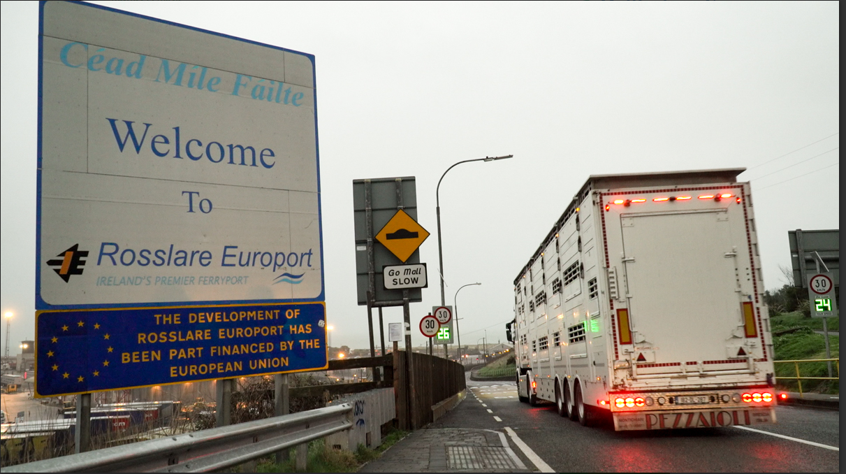 CSO: Food and live animal export value up 23% in a year