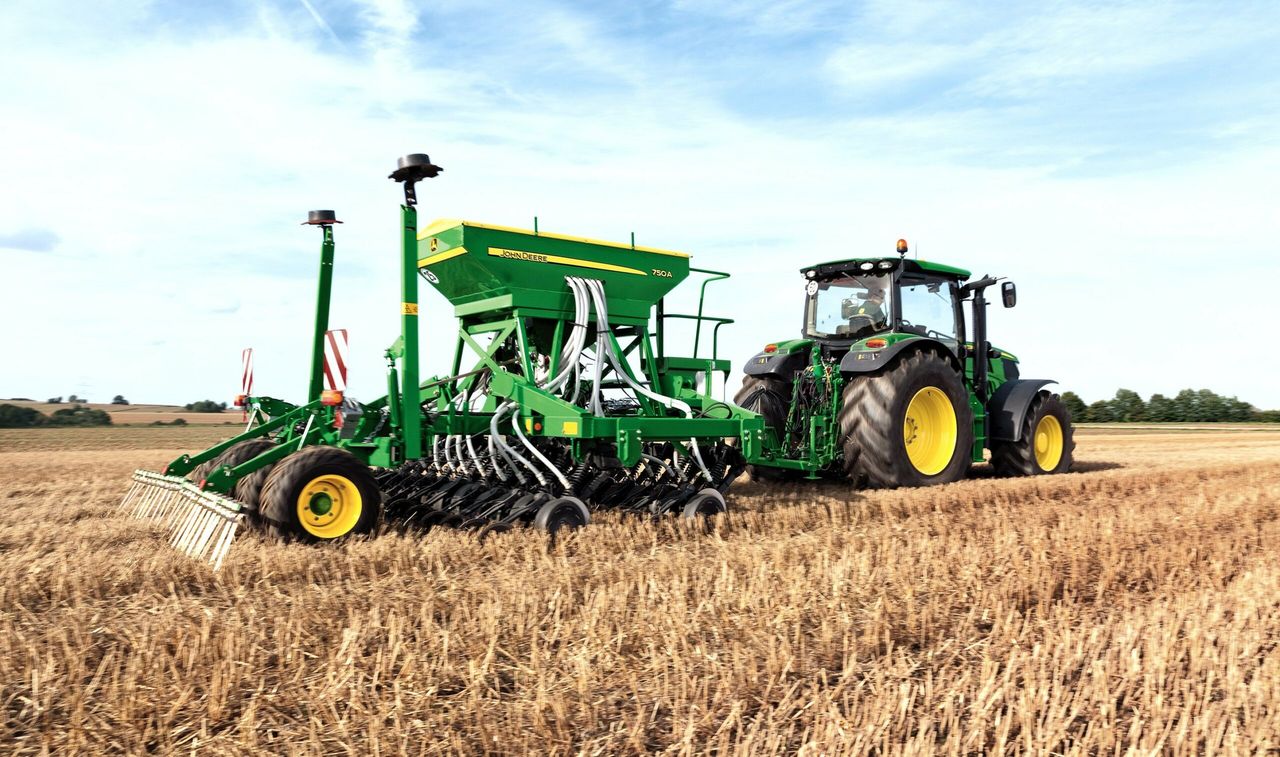 Where and how to sow forage crops?
