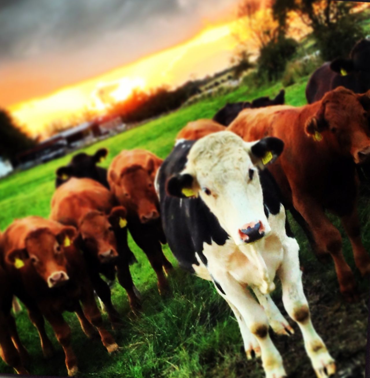 Department expects large number of 'new' farm partnerships in coming months