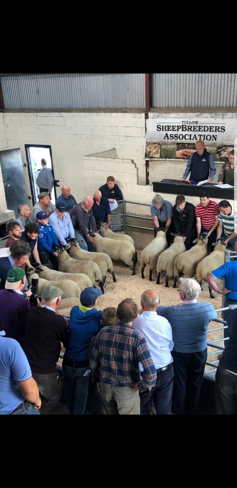 Tullow Sheep Breeders' Association set to hold 32nd annual show and sale