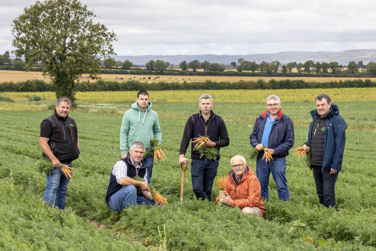 Would you pay 6c more for a carrot to ensure Irish growers remain viable?