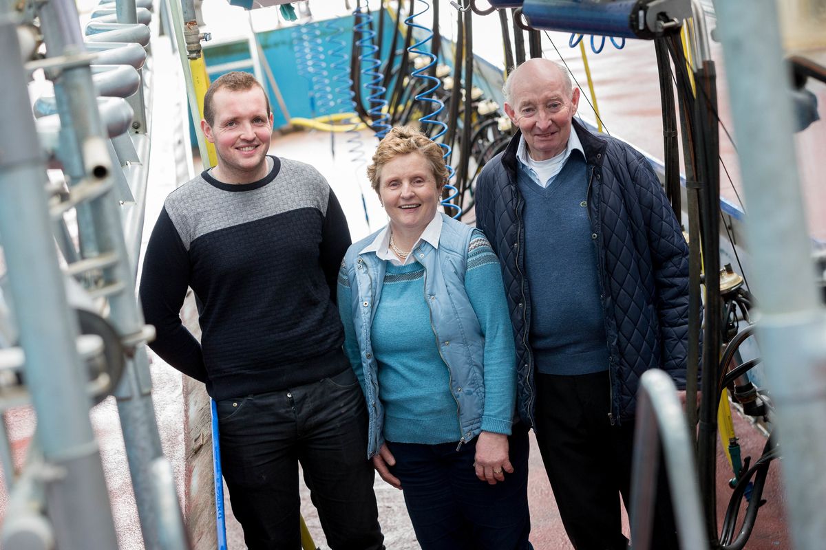 Top dairy farm to open for Teagasc farm walk