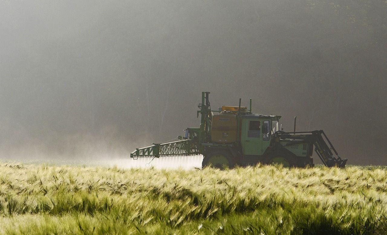 EU review assessing risk of glyphosate due next month