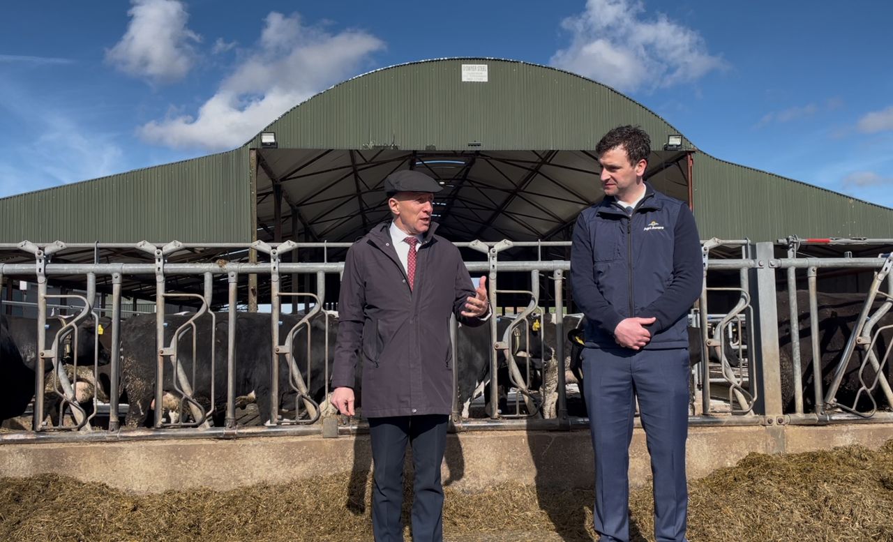 Watch: Minister Healy-Rae doubles down on live exports