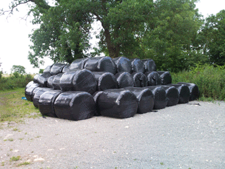 Silage stocks tightening, Teagasc