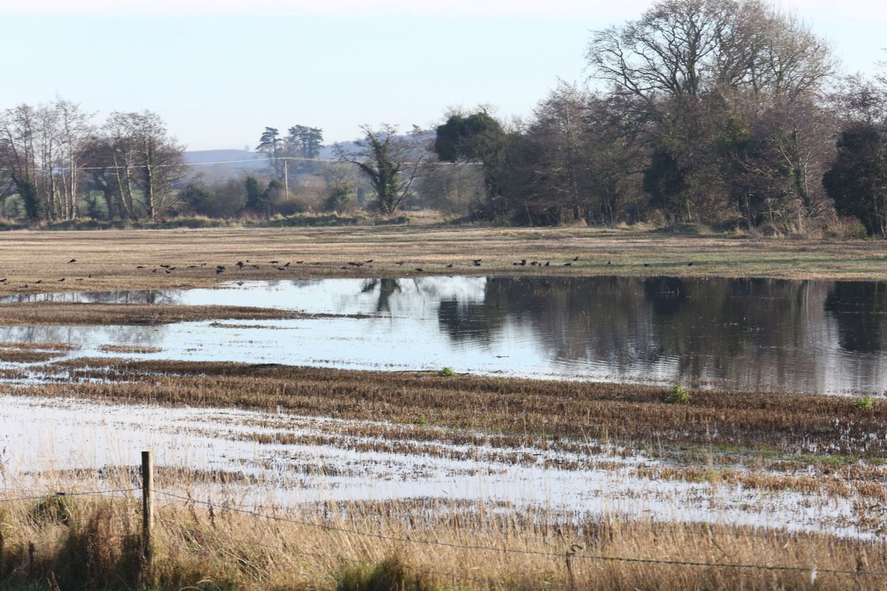 UK government offers grants to farmers impacted by flooding