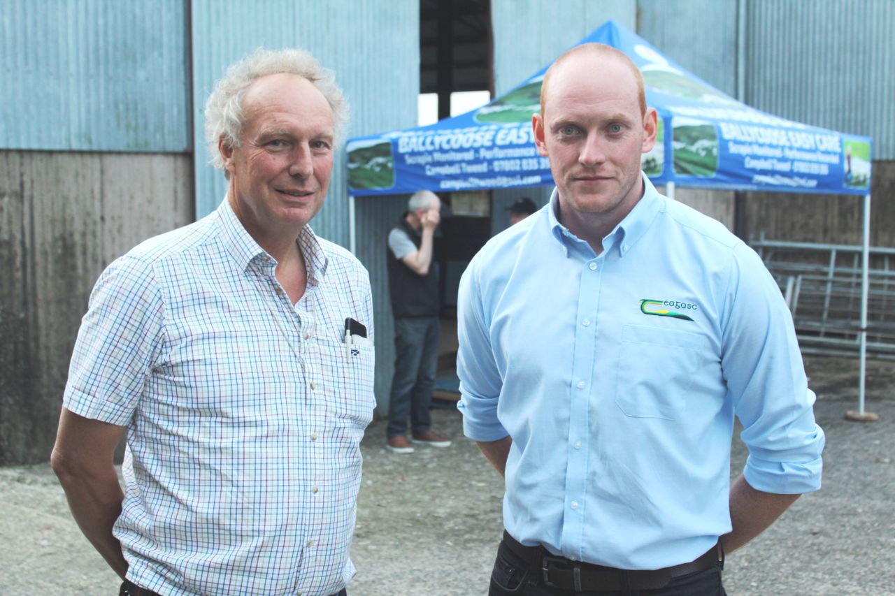 Sheep research profiled at EasyCare sheep open evening