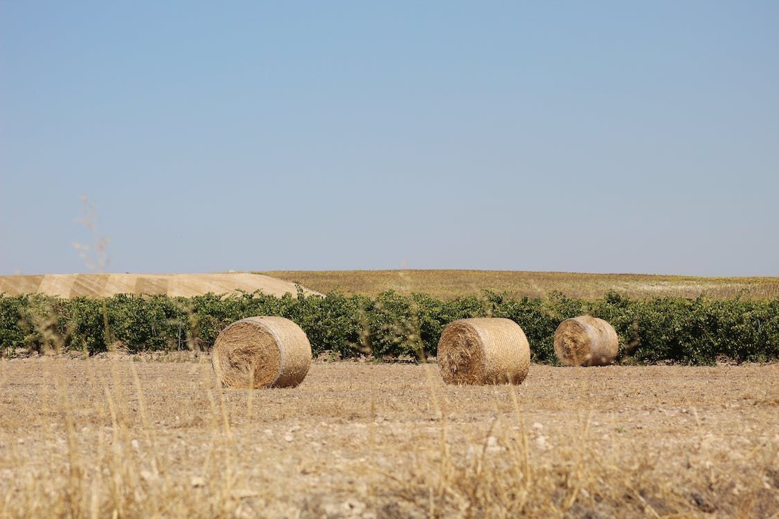 NI farmer records thefts of silage bales on video camera