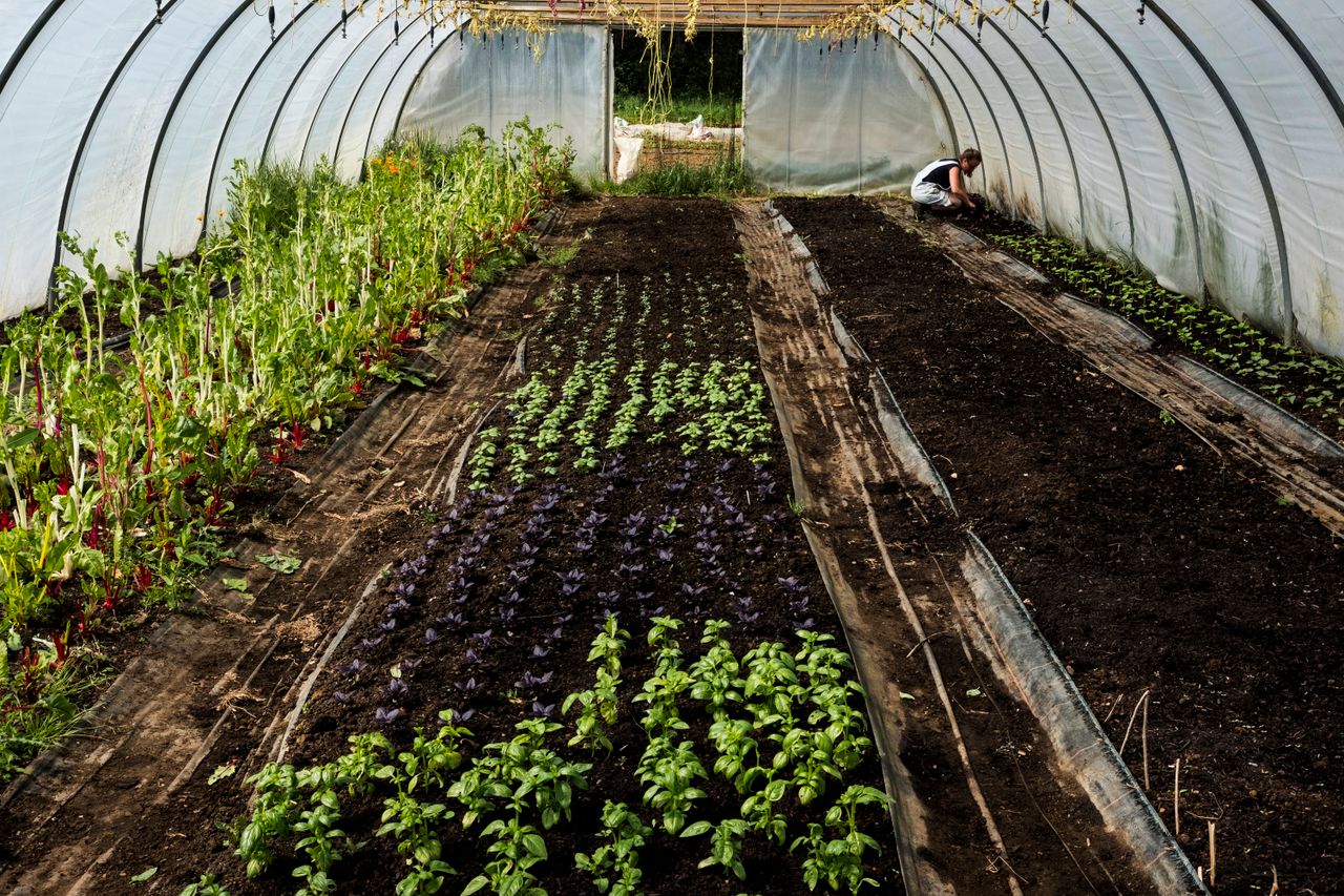 Dunnes Stores in bid to create 'urban farm' in Cork