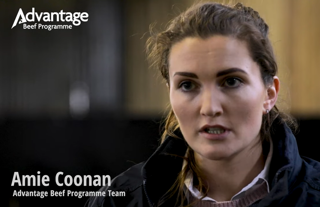 ABP Farm Liaison Team Leader Amie Coonan