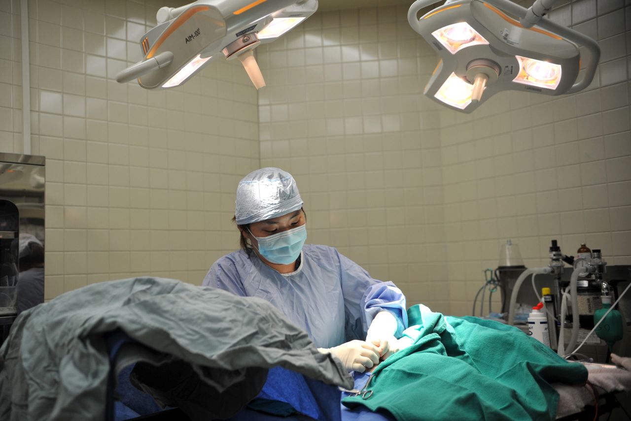 More than 40% of veterinary professionals experience 'abnormal' stress levels