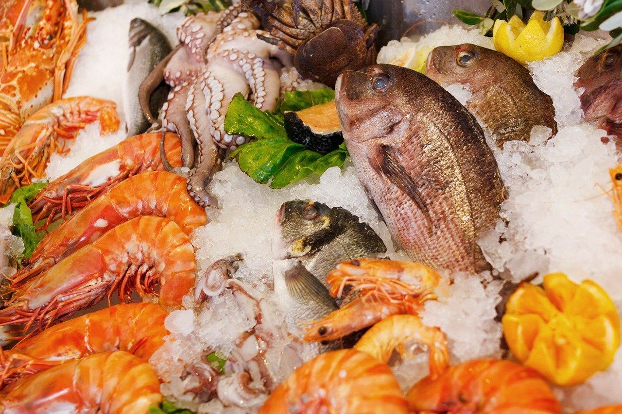 €2m seafood promotion will help claw back business lost to Covid-19