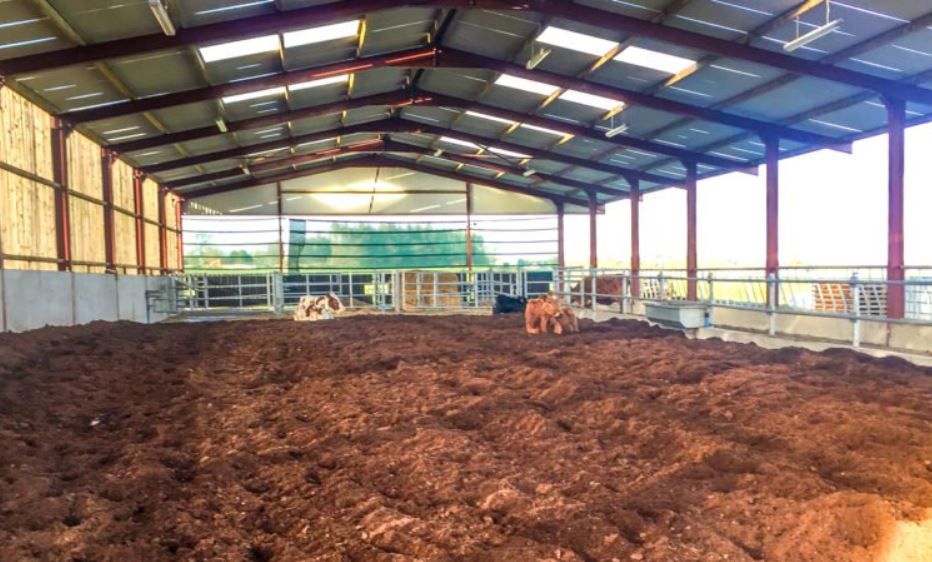 BNM to expand into peat bedding market