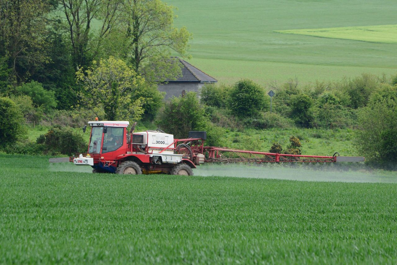Wheat and barley fungicides all due in the coming days