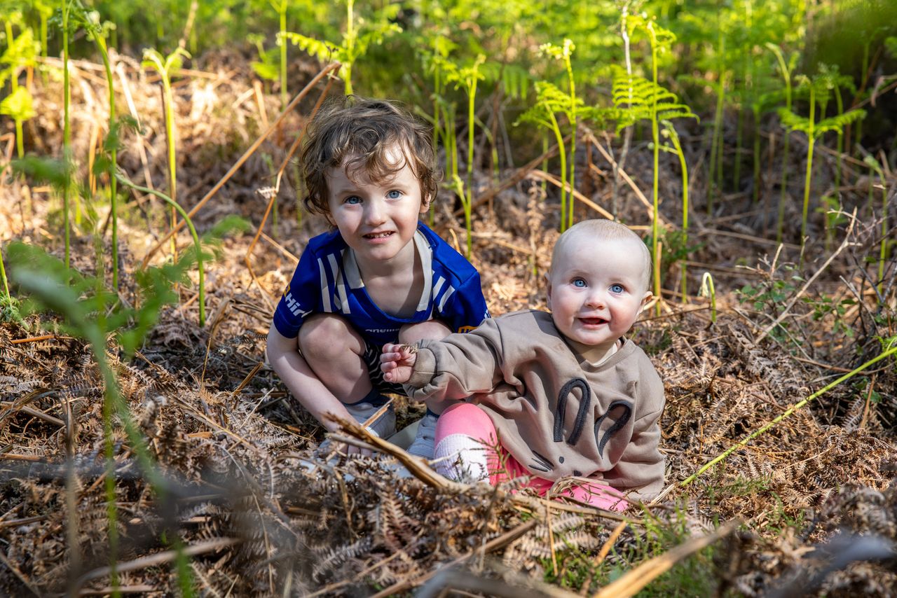 Research: 'Strong' public support for wetland restoration
