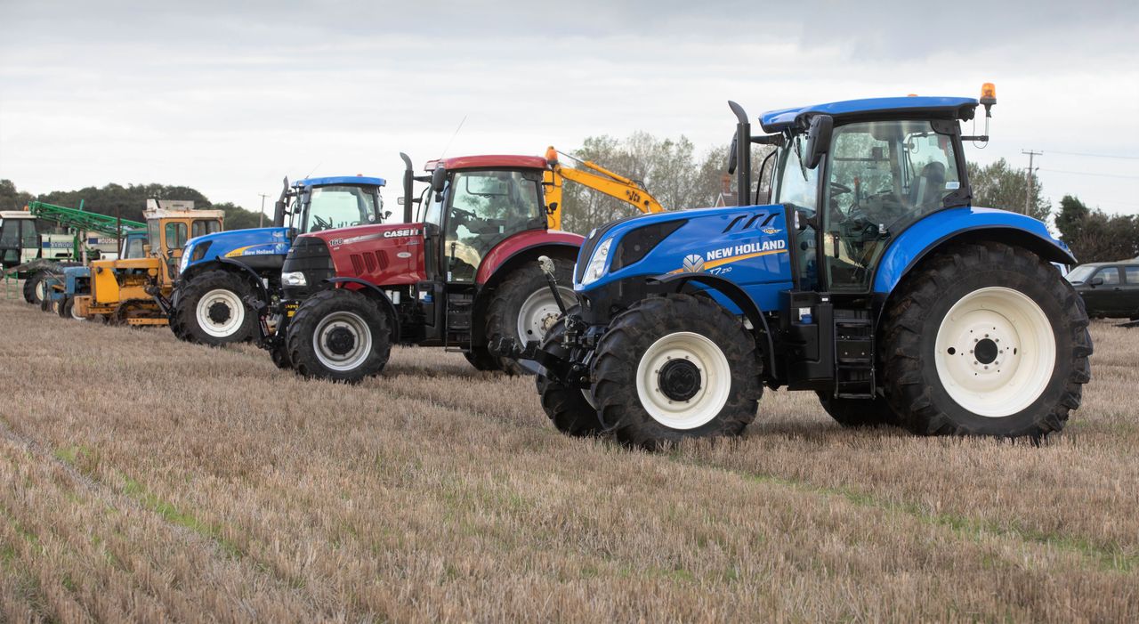 Auction report: 'Blues' and a 'red' sibling go under the hammer