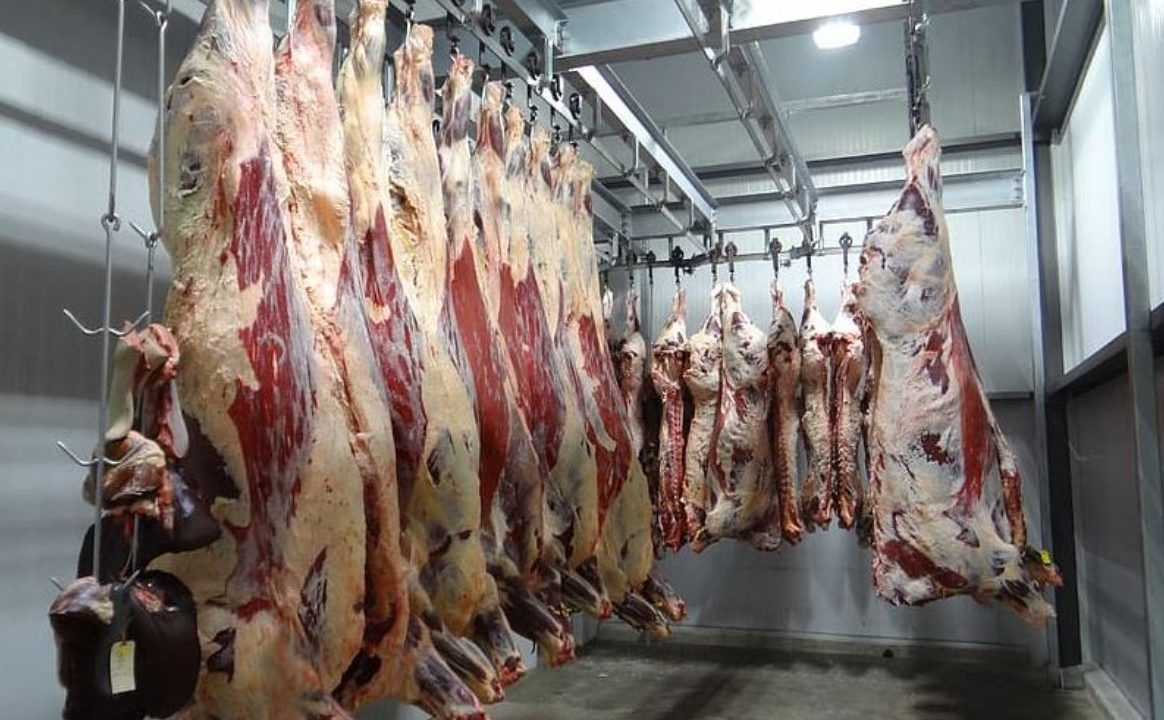 CSO: April cattle kill up by 2.6% since 2024