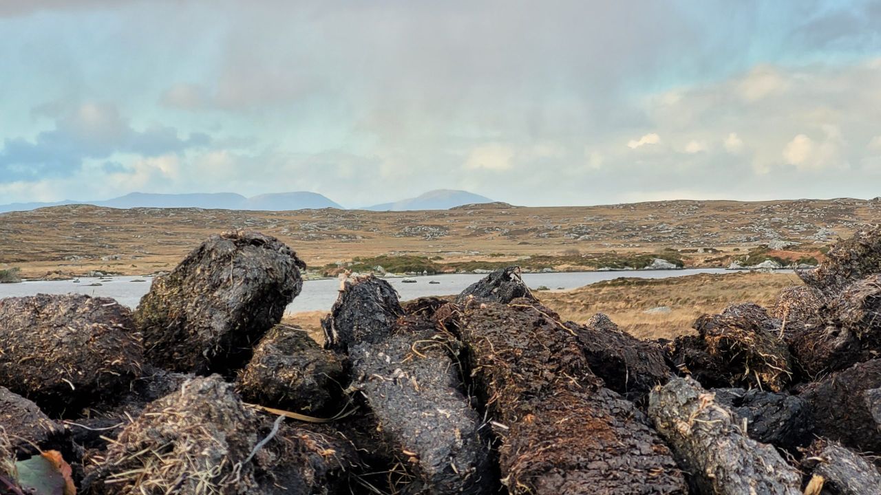 Exciting restoration project will bring five-acre bog back to life