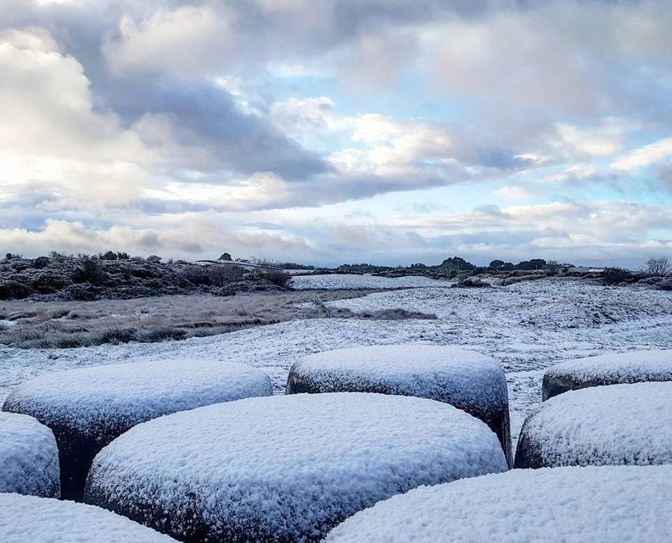 Widespread mart cancellations as big freeze continues