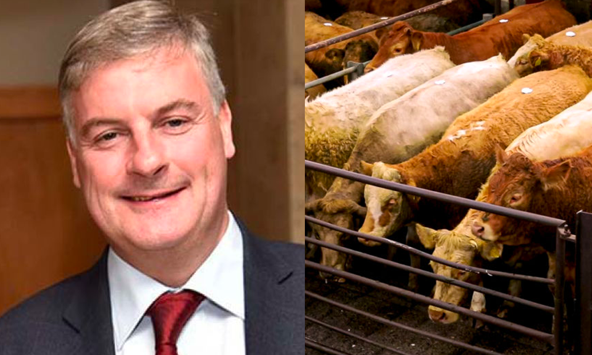 €6/kg is 'absolute minimum' beef price for winter finishers to seek