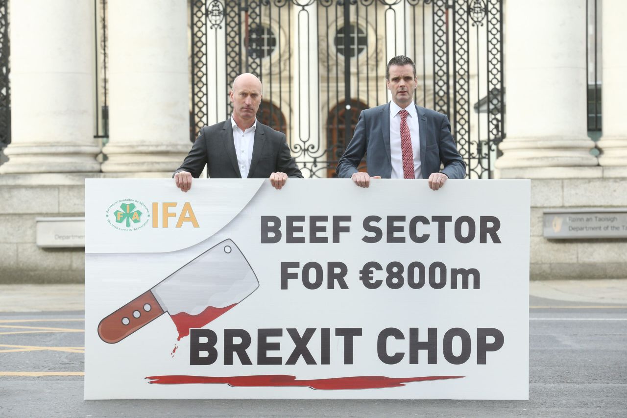 Beef sector facing '€800 million direct hard Brexit hit' - IFA