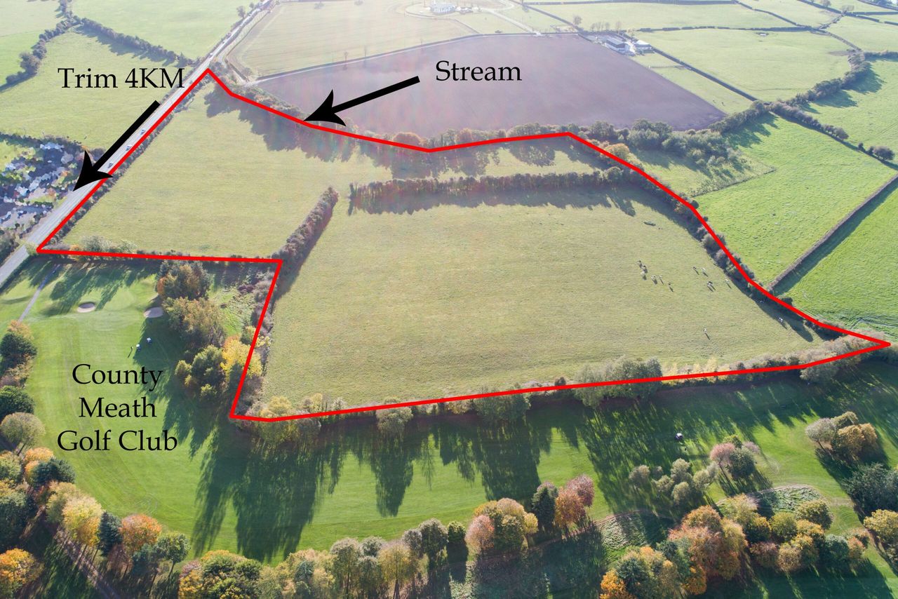 20ac of Meath land with road frontage to go for auction