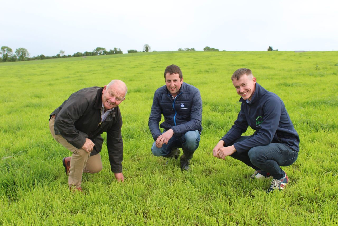 Managing grass growth has been very challenging