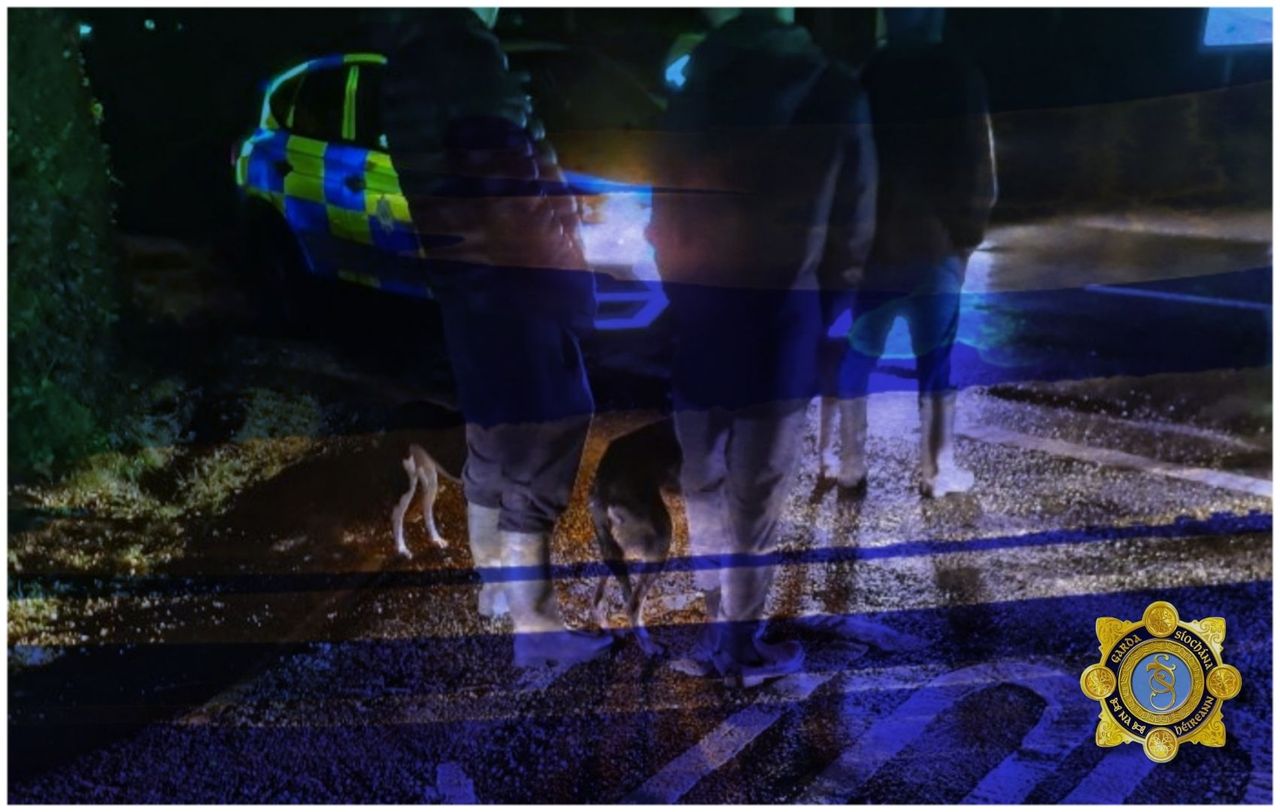 Gardaí detect men allegedly hunting hares on Kerry lands