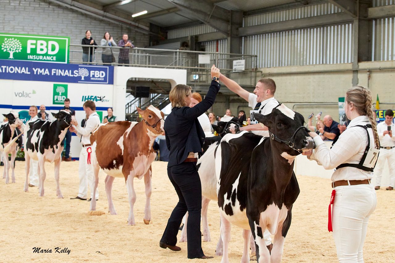 Young handlers prepare for finals at AXA National Dairy Show