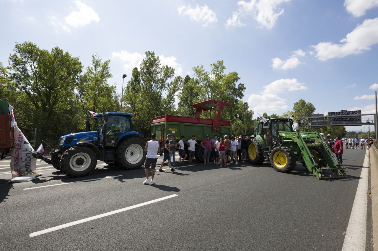 French processor to pay 29c/L till December to stop farmer protests
