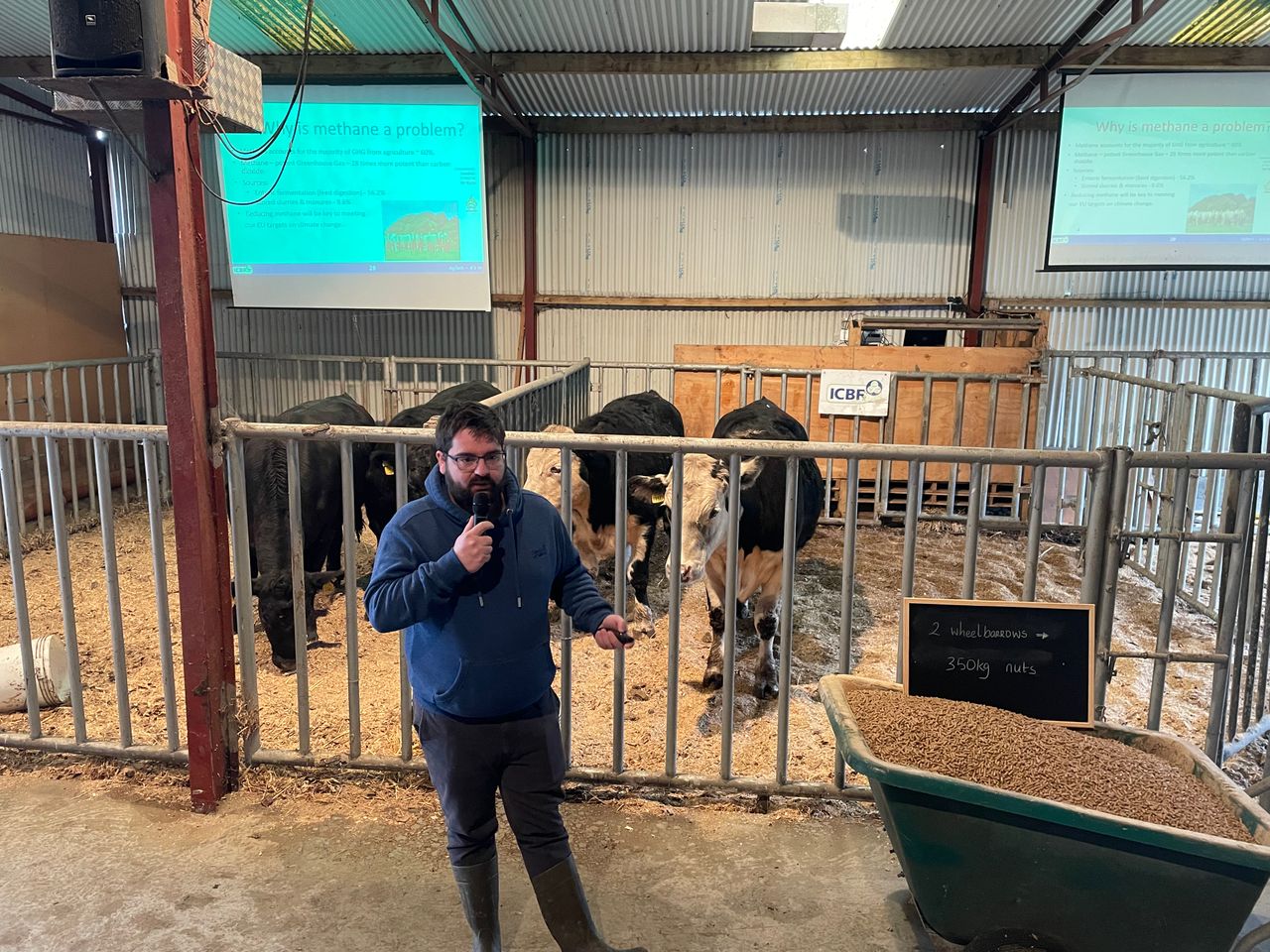 'The best additive to reduce methane is high-quality grass' -ICBF