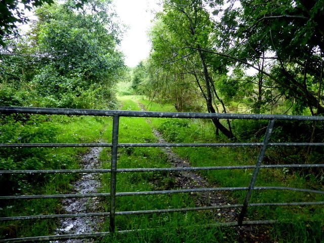 Opinion: A 'protectionist mantra' is not in Irish farming's best interests