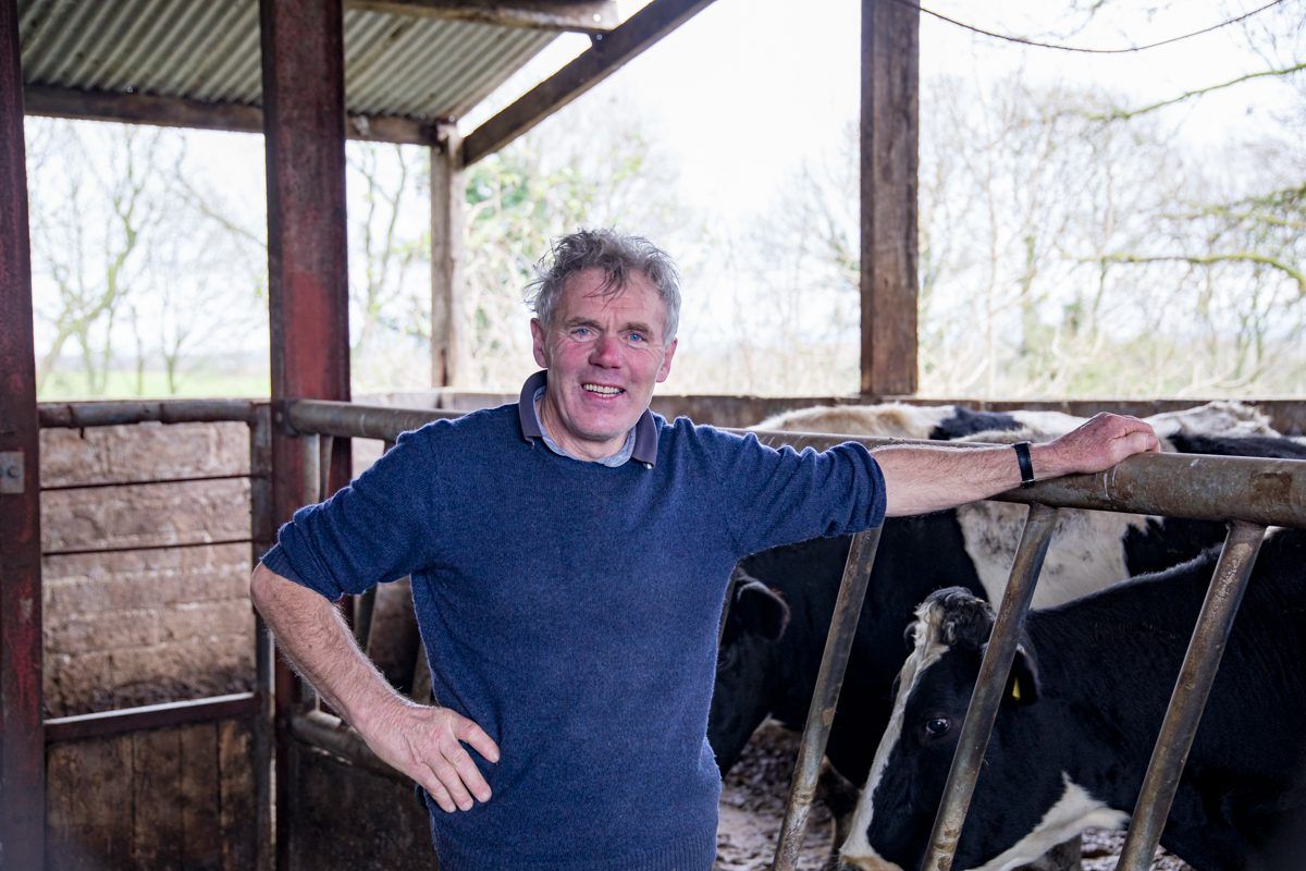 Dairy focus: Making the transition to spring milk in Co. Limerick