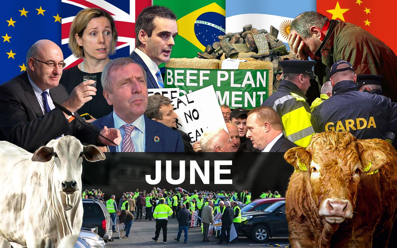 Beef Industry Review: June
