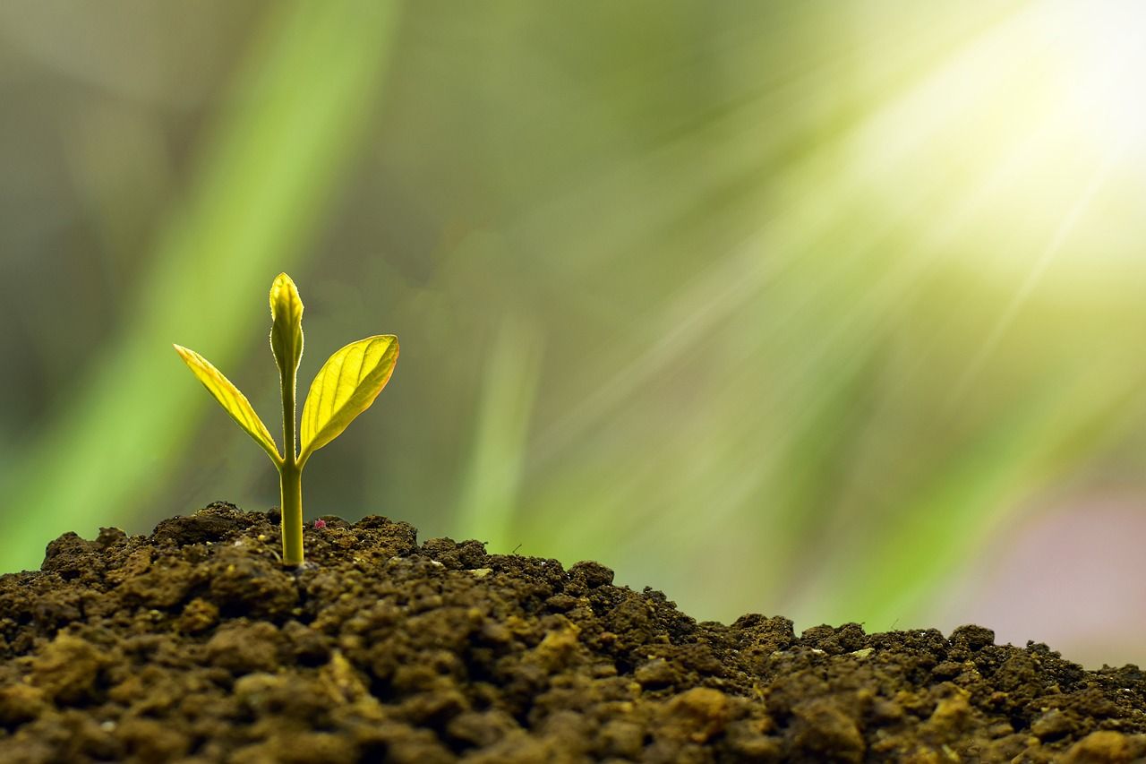 Arrabawn-Tipperary co-op selected for biorefinery feasibility study