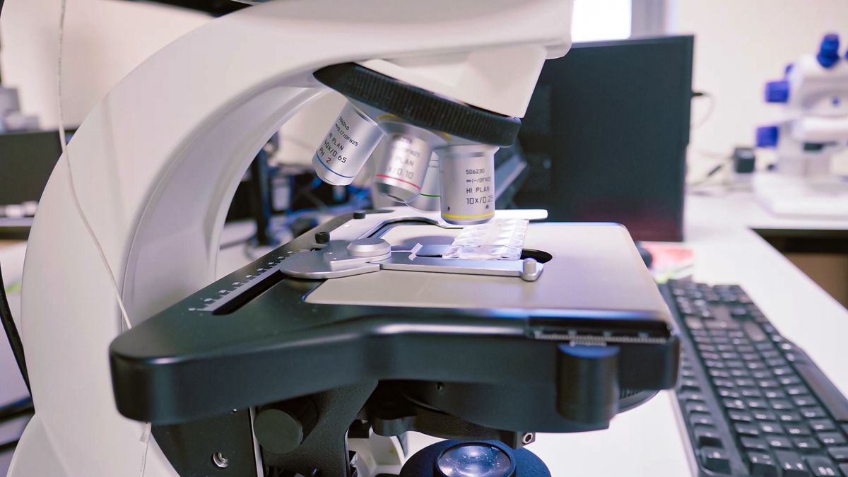 British Society of Animal Science to hold its first ever virtual conference