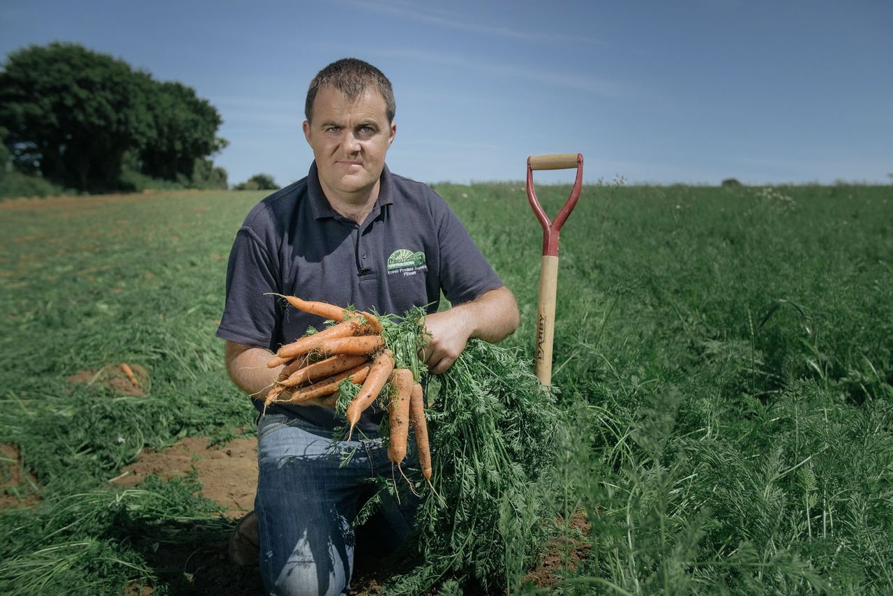 Kilkenny family grows carrots business