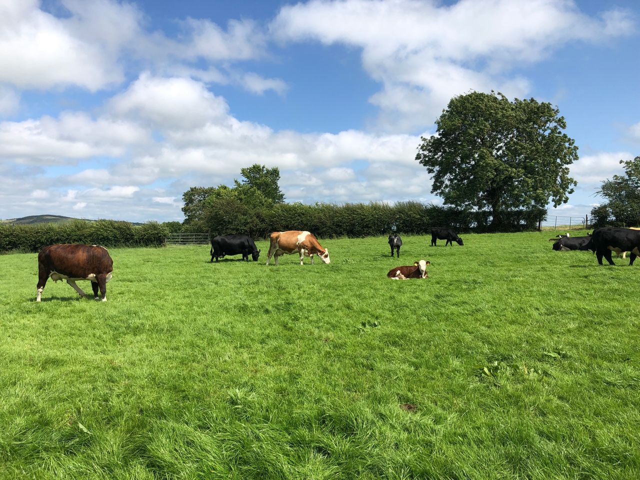 Drier weather and higher temperatures to return