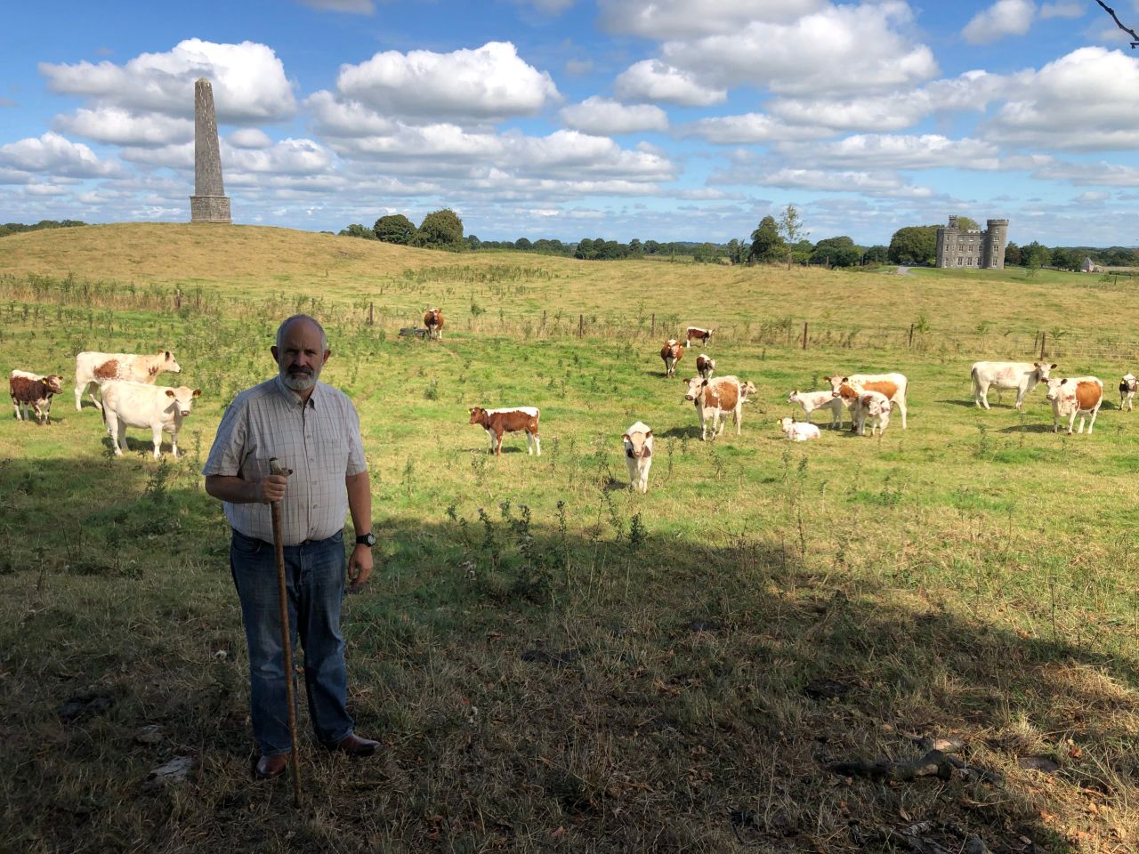Beef Focus: Breeding, rearing and processing rare breeds at Killua Castle