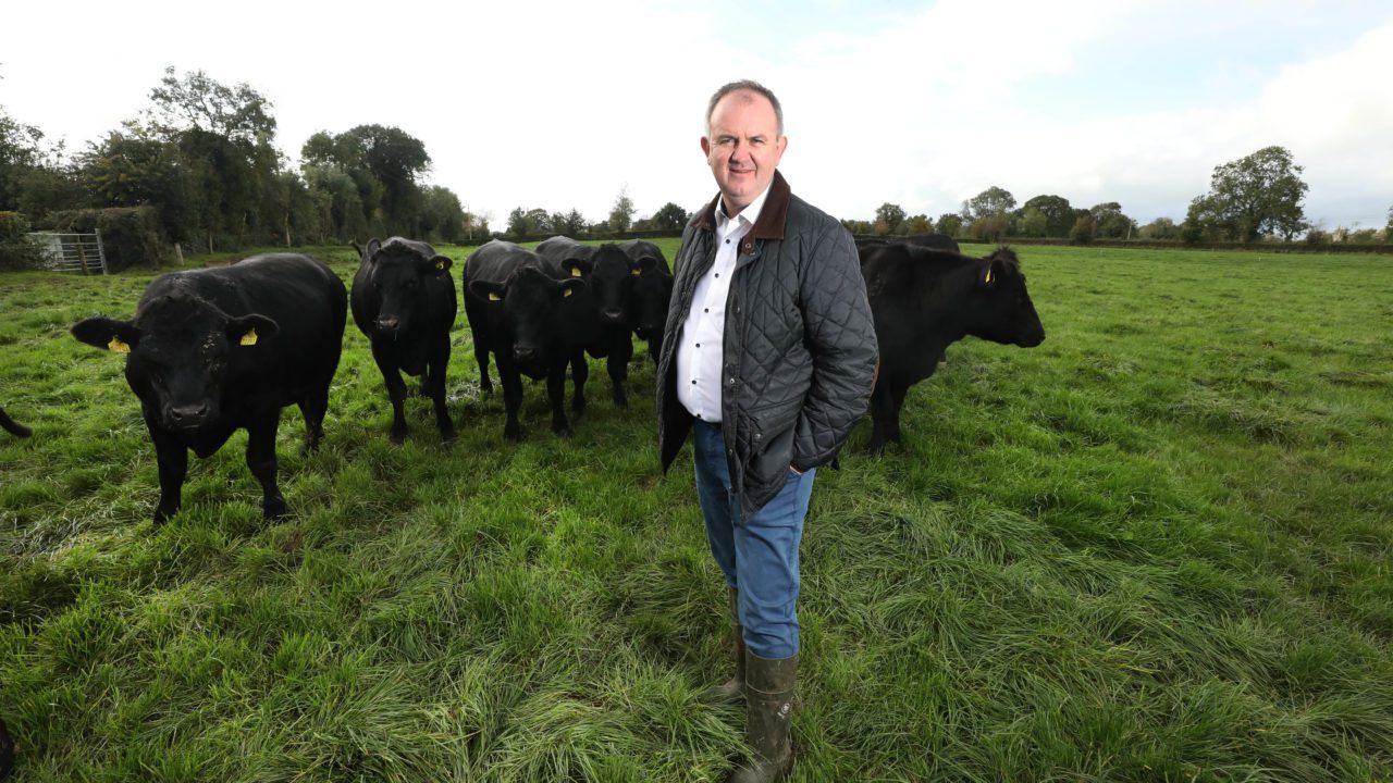 Certified Irish Angus taking bookings for 30c/kg bonus
