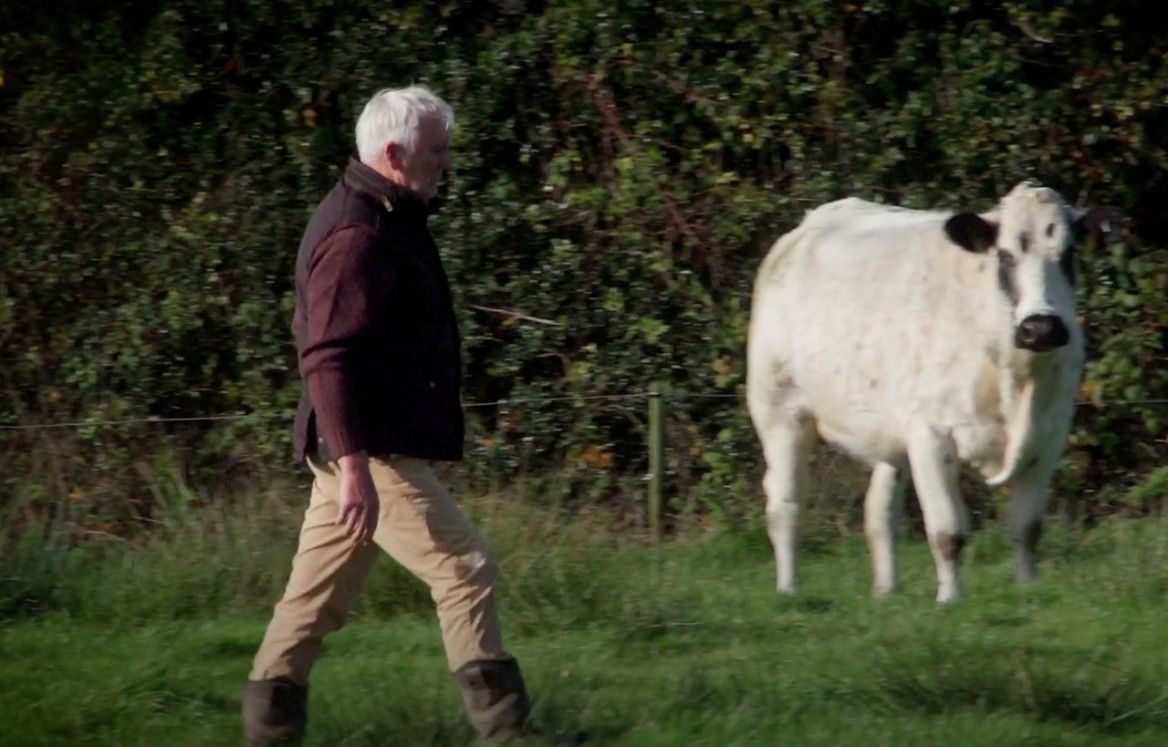 Pedigree Limousin farm saves over €8k using Supersoil